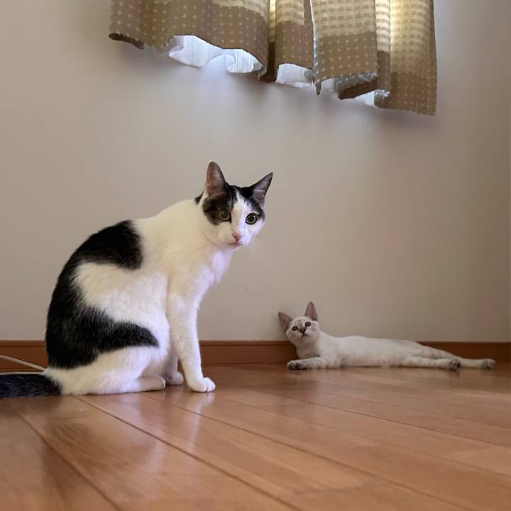 D37dd77b 3c64 477d 97e8 f931fb198855 1724799306150