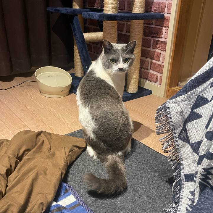 D37e33f1 0a08 4ca5 808c 02704cfd2794 1679159169784