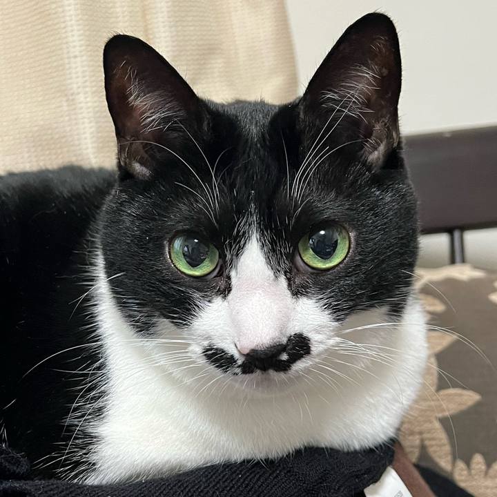 D37e5b2d 8036 45c8 9bbc a505e628a52f 1762294921676