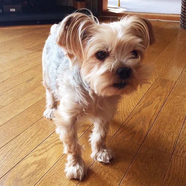 D37e8adf 731b 40d2 80a4 bed36cedce87 1535443340308