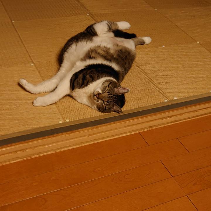 D37e8da7 1b38 4f5f 99ed bce23484f32d 1697342922282