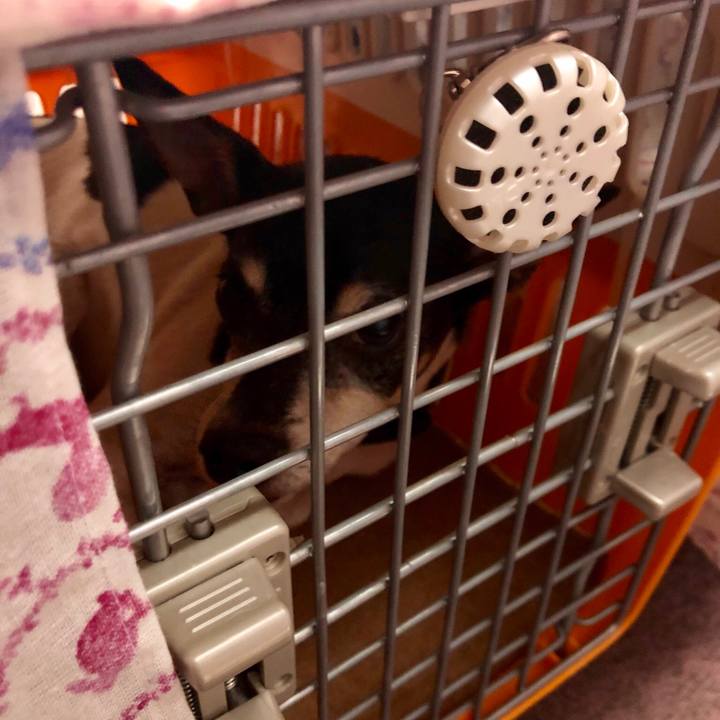 D37eac8b abfb 45e5 84e3 13b96b19fc15 1543579574377