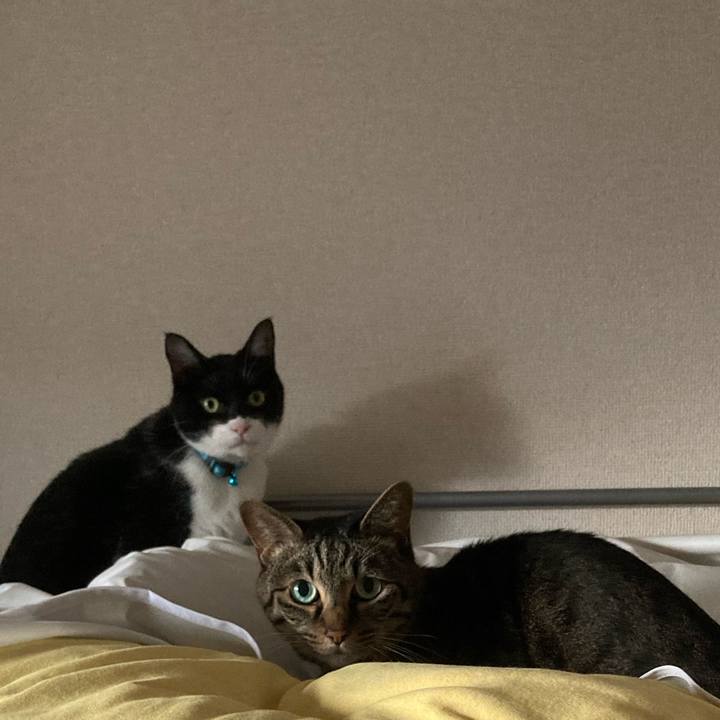 D37ee17c 07a1 4ec2 af43 cfb8b7162f15 1750071620098