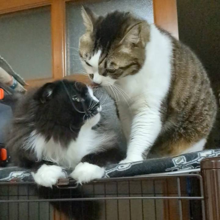 D37f1f7f dc76 4aed 9afc d0cf90d5d1fc 1741519439609