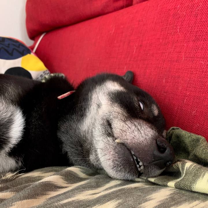 D37f21b9 7089 4925 aa7b ea314310e2c0 1599580109803