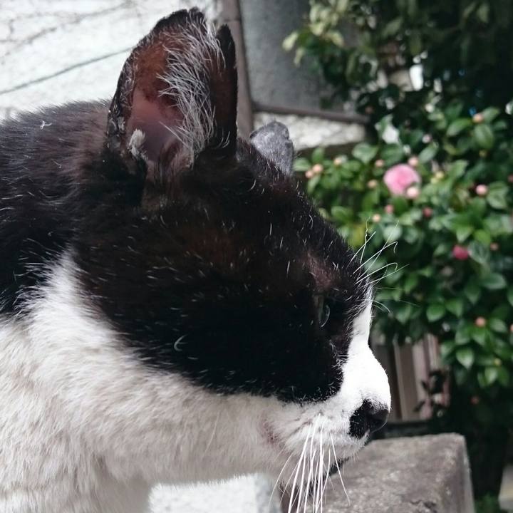 D37f40c5 d47f 4e4d a1d5 7e95e97719bf 1521691025645