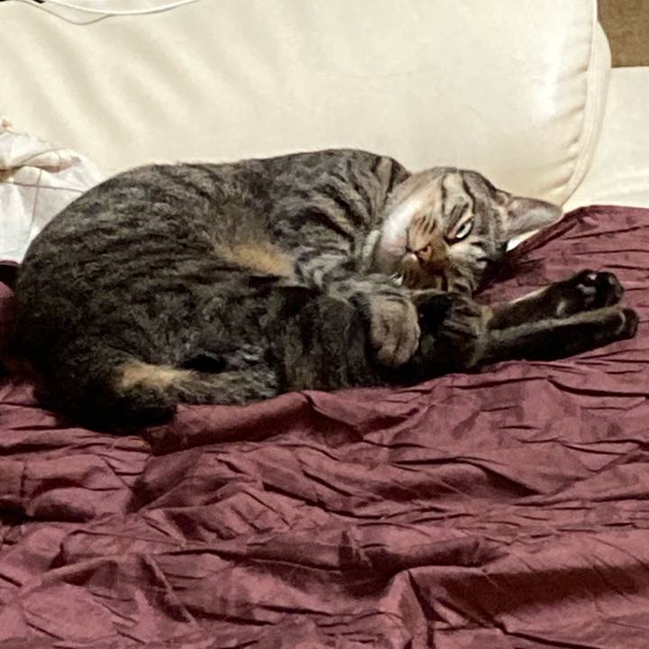 D37f7978 01e6 4a3c bb85 4421954925c2 1606048998196