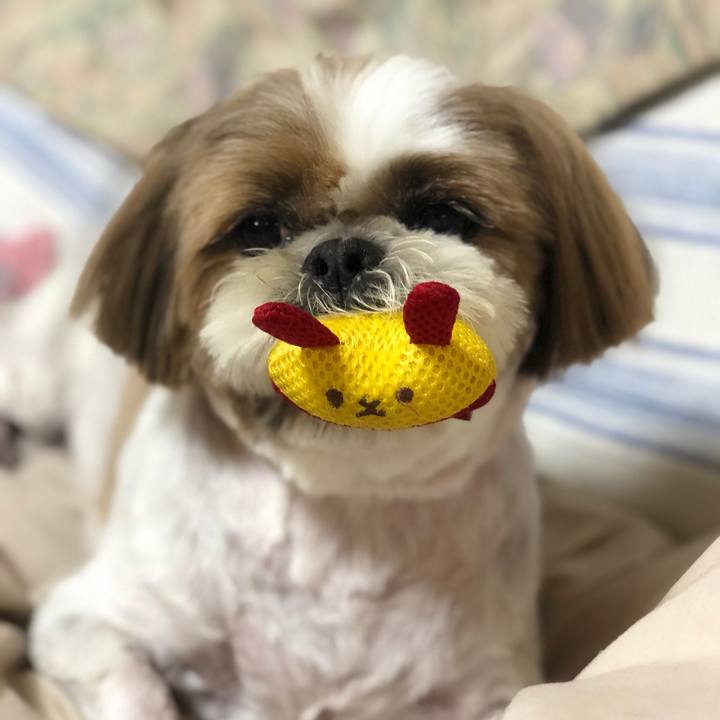 D37f880e e86a 44d1 a580 34393c2834be 1557566114963