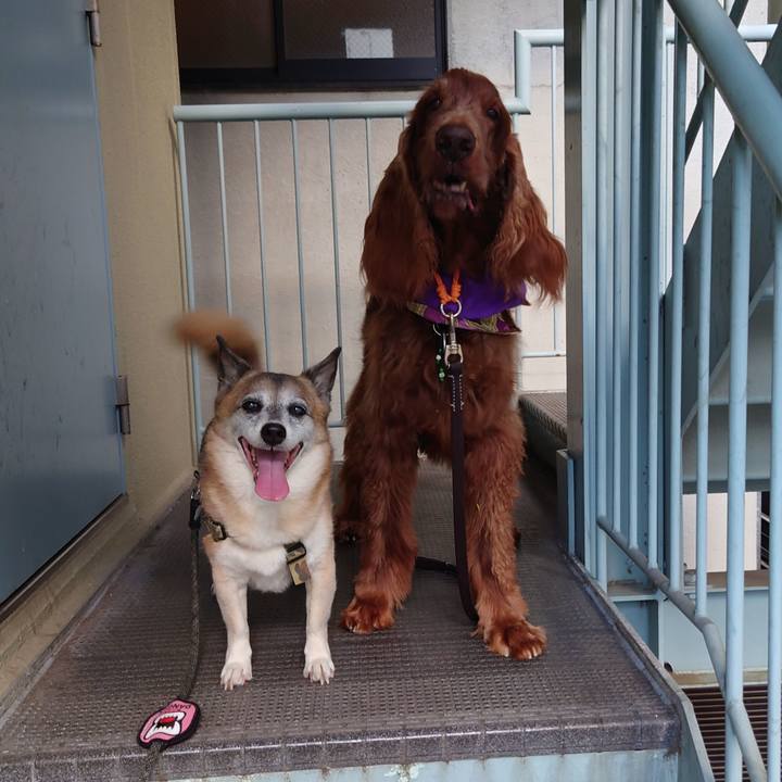 D37fc07b 06fe 466a 8b18 46945f95a049 1634127737577