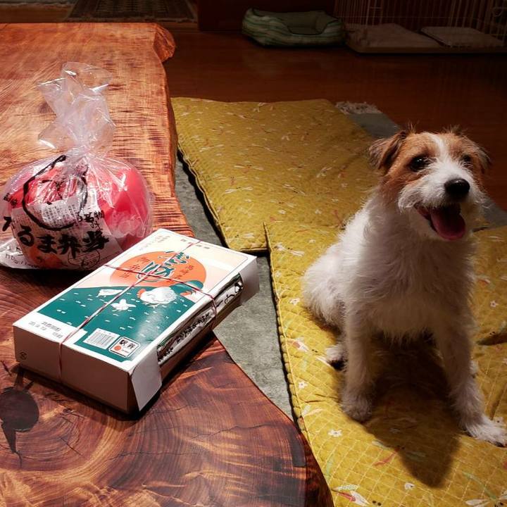 D37ffd1d ae94 4376 859a 035d3049e62e 1600557092747