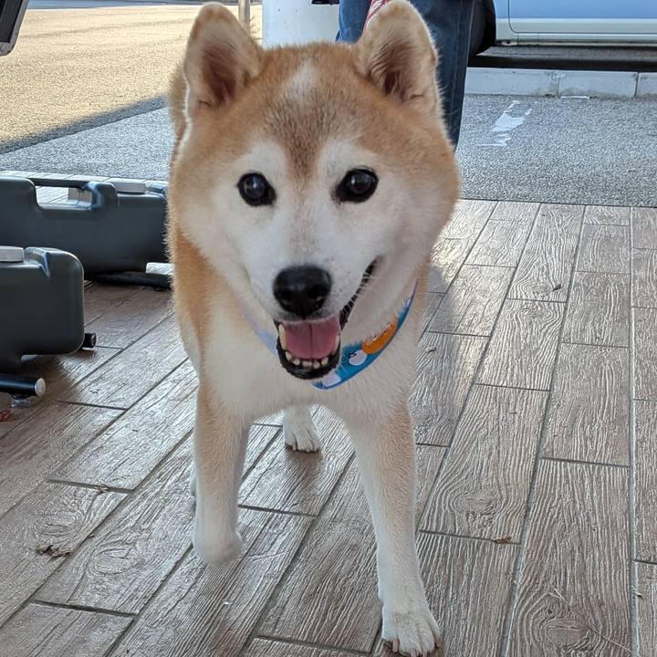 D3800d5a ed18 4384 836f 1eea655cbea8 1762414186616