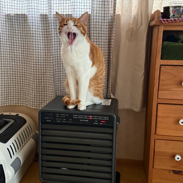 D380583e 5f33 4c52 b191 71431630cf17 1770815174661