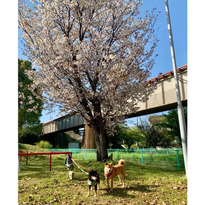 D3806028 d40f 43bf 9333 2751d944a831 1775890751675