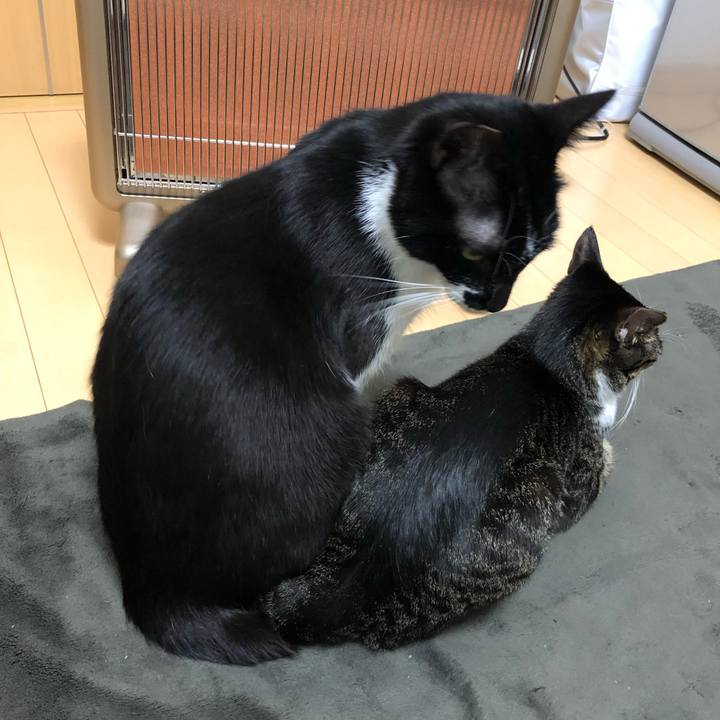 D3807f99 f59e 4f88 a9cf a53b069c159c 1555445191854