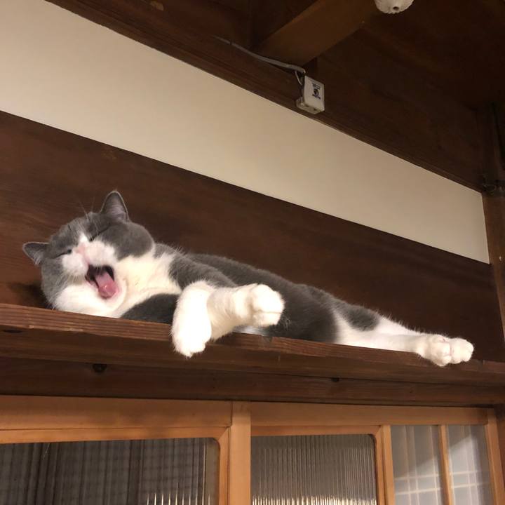 D3808e57 e26f 4753 9b08 13c5d080dc39 1579393212064