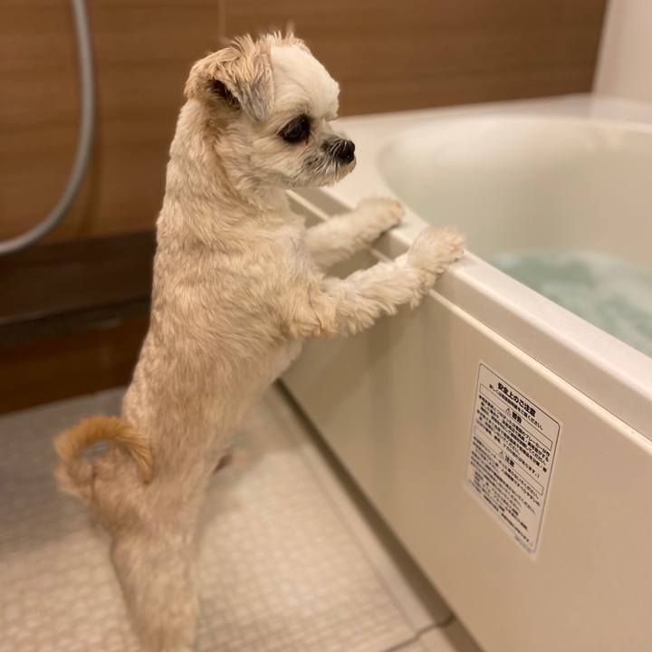 D380a821 d121 44d7 afe0 1566baff3136 1576415524343