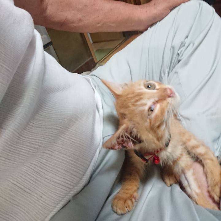 D380dfd2 c269 48c9 8bd8 34f7dcef8df9 1628157000504