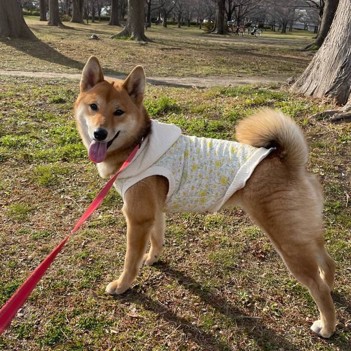 D380ed09 bf96 4c34 9304 4247ebc4c8d0 1701934021562