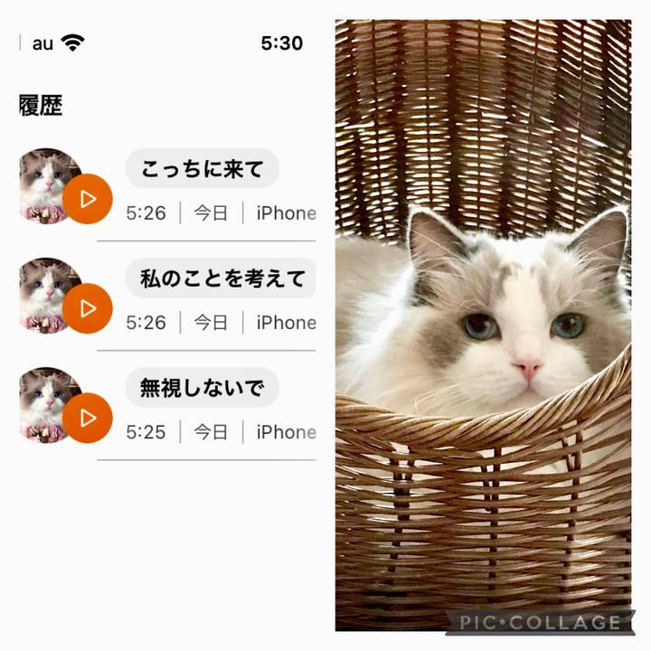 D380f7ba 1267 4cbf b74e b021cc44ca80 1635195525624