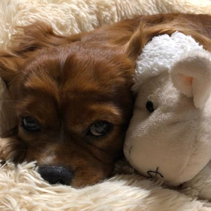 D3812659 bbe1 486d a546 fe26dd6f309d 1624103714953