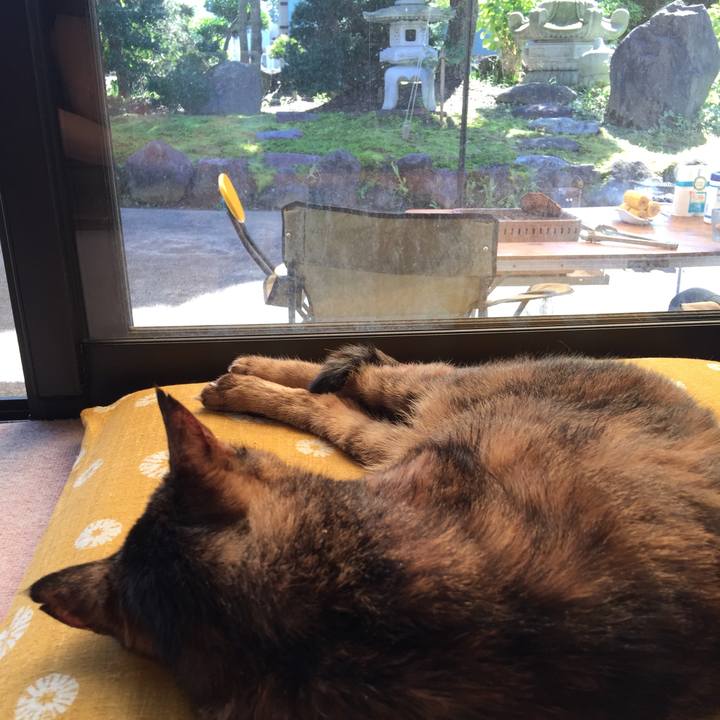 D3814100 05fd 48a9 8757 1e7257f7fc35 1632025121498