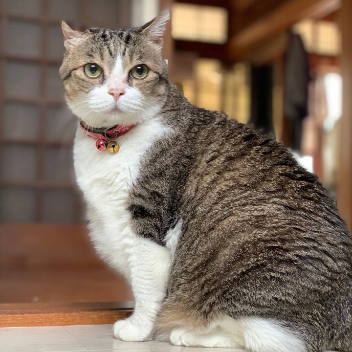 D3814470 2129 4257 9290 4ee757ce0897 1730112165402