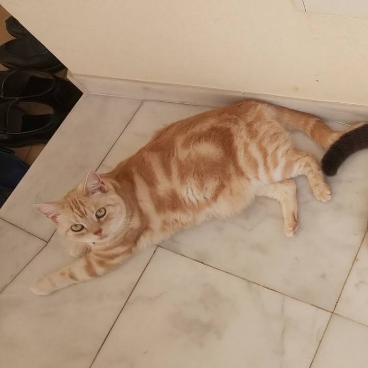 D3818911 2a57 4083 b866 e185dd1b9780 1538882607149