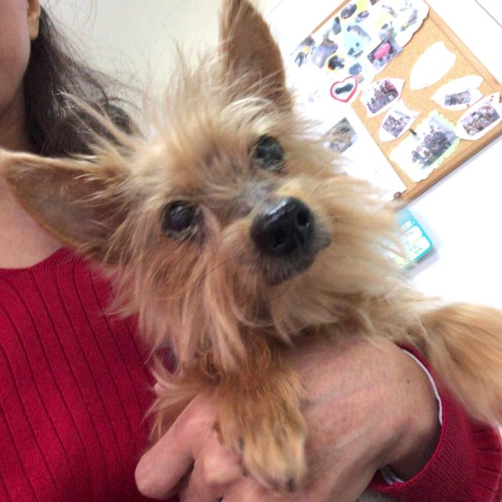 D38189ad 6283 40e3 9758 242f40a15190 1510281169084