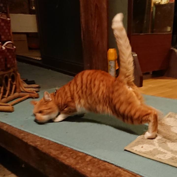 D381ba7f 8e07 4d14 89fd fcc1cfc92767 1573808542630