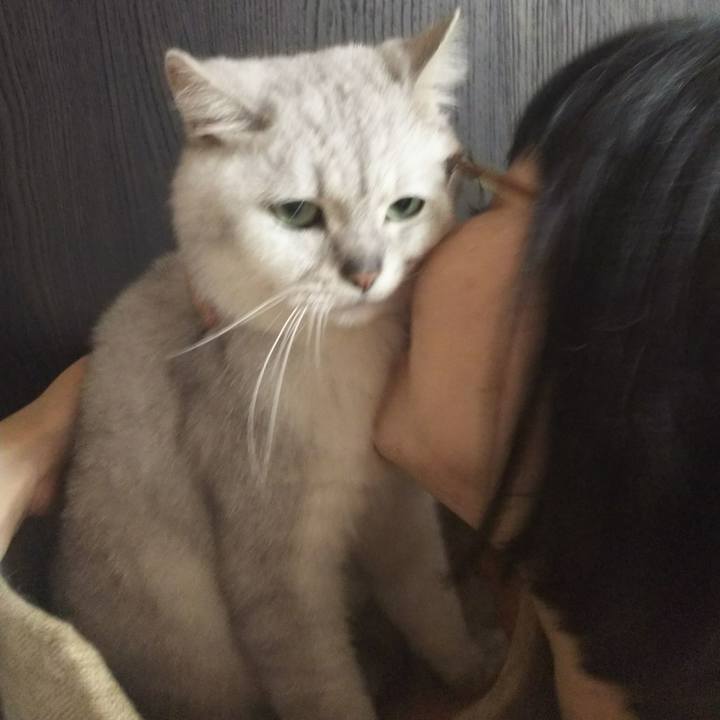 D381bd11 e16d 4936 869b ea613a1dd1c1 1512829762838