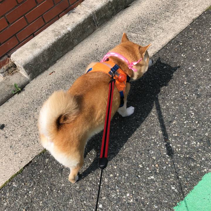 D381d2d6 8c71 4671 8b16 560cdbd97183 1592217398352