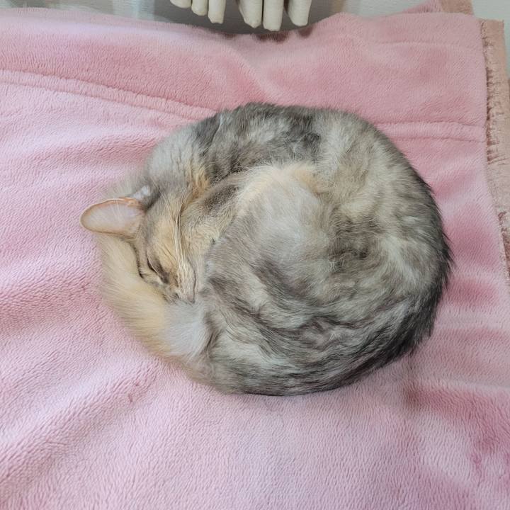 D381d7ed 1956 4b2e 9634 6982e7256c25 1652360529635