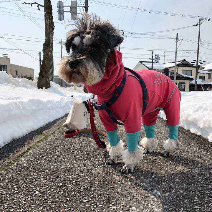 D381dccd b199 4c5d 9c5d 7fdcc0094ab2 1613794836121