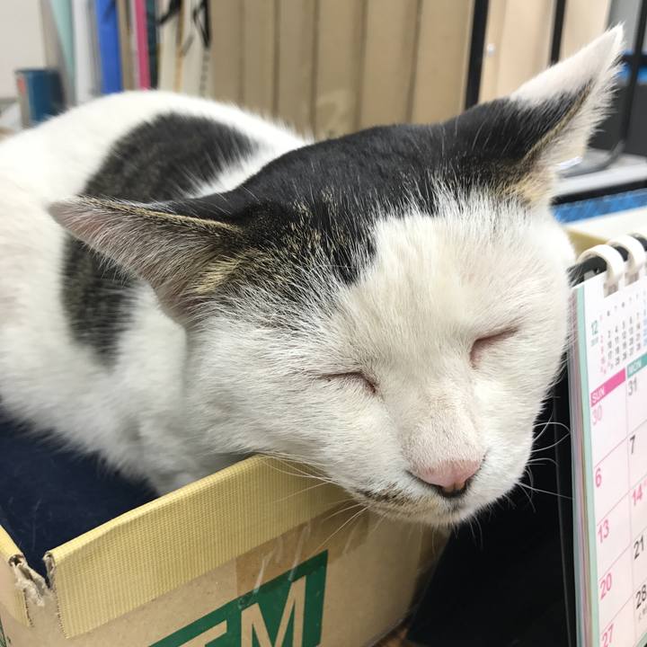 D381fc88 755b 4a0c 8b65 979cc29ecb4b 1547086158464