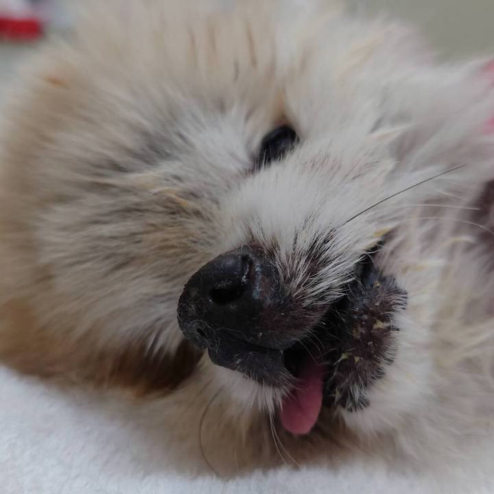 D38200e3 5f66 4004 92f6 6e91e5fa5245 1619453192365