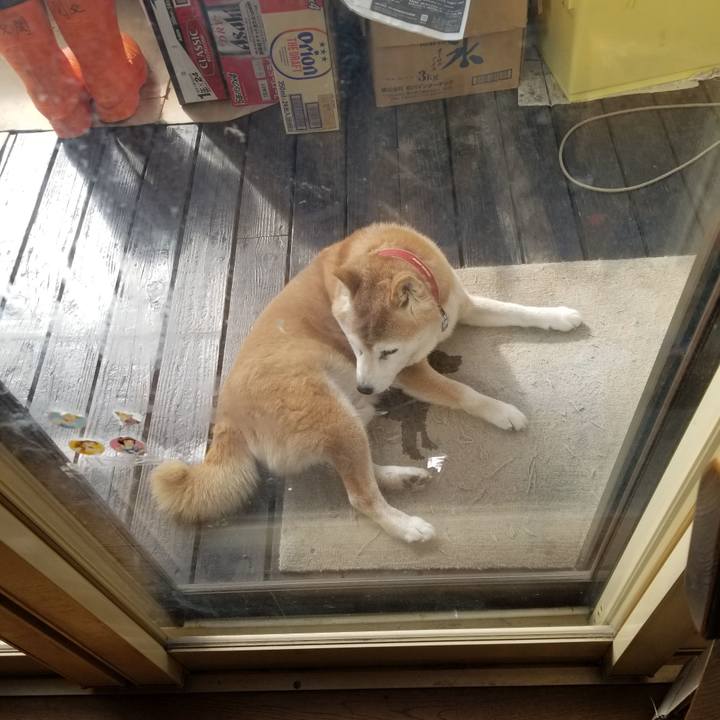 D3820a4a d794 489f bb2b e32389a846e2 1739324410235