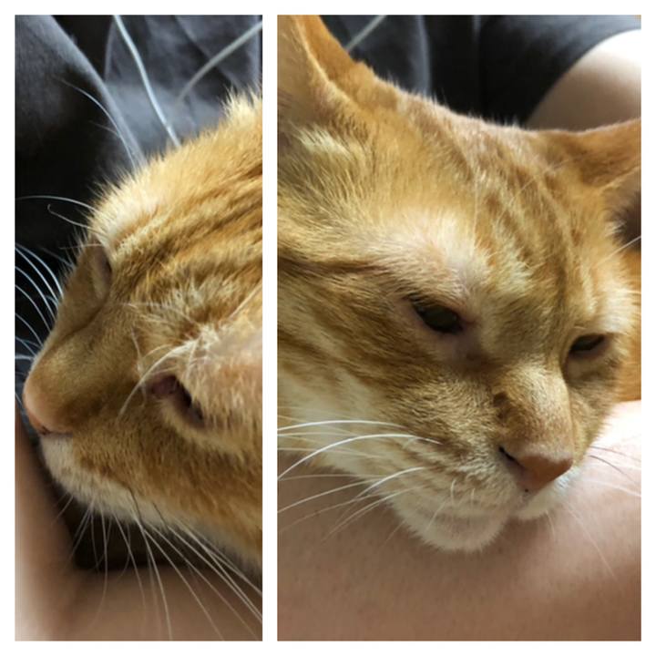 D3825b65 3efa 4033 8cce 876e3b927d31 1653911012113