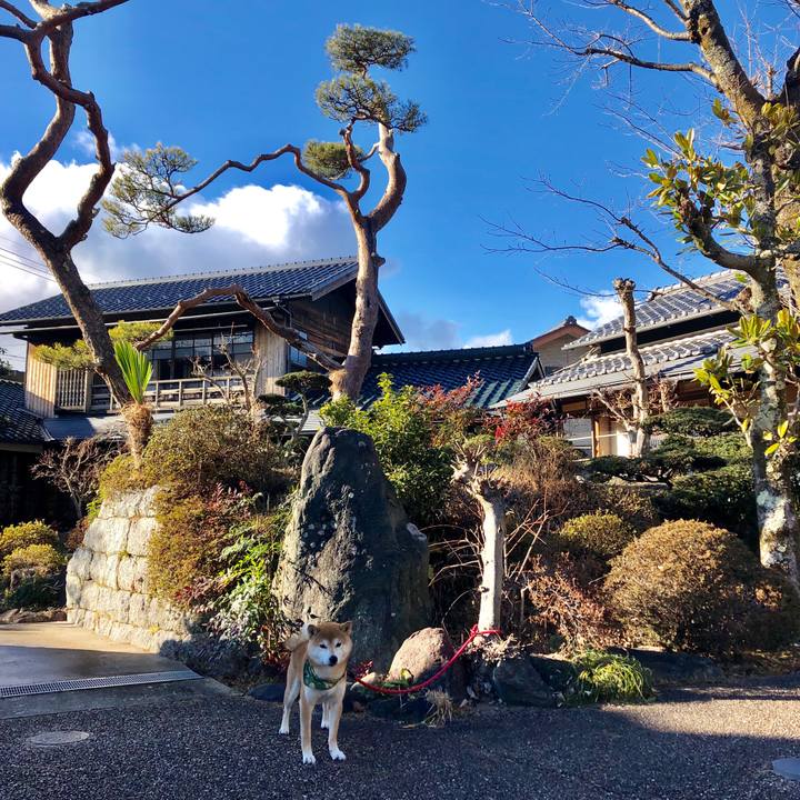 D3828f5b 1dbd 474c b8e9 5c9fa0f31ac3 1548489276482