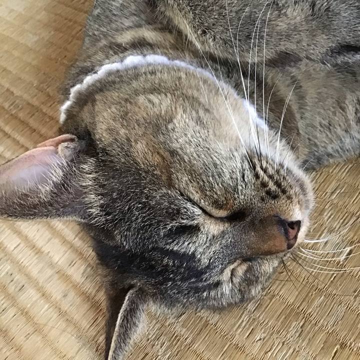 D38290ef 69e6 4094 bda8 59dc428eb486 1755515868288