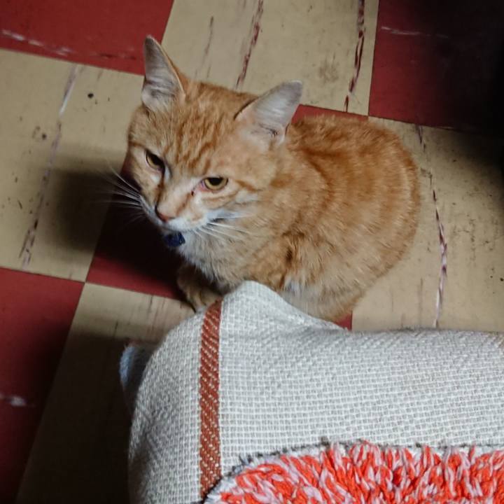 D3829338 f986 4c00 b856 17b44b26cfa1 1560023634286