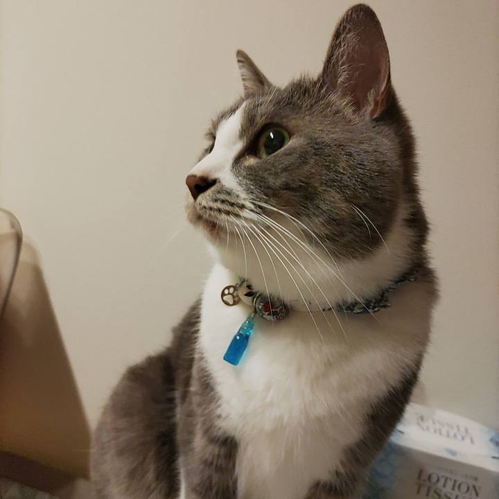 D3829741 24f4 4e04 affe 96f2e1a99d8a 1683642441568