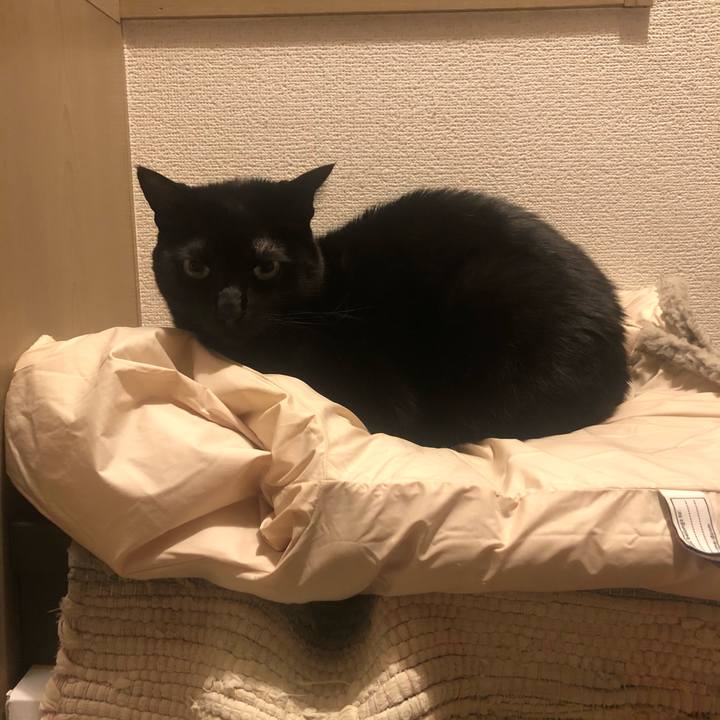 D382b459 4b31 41b4 825d f121d233490e 1609679015314