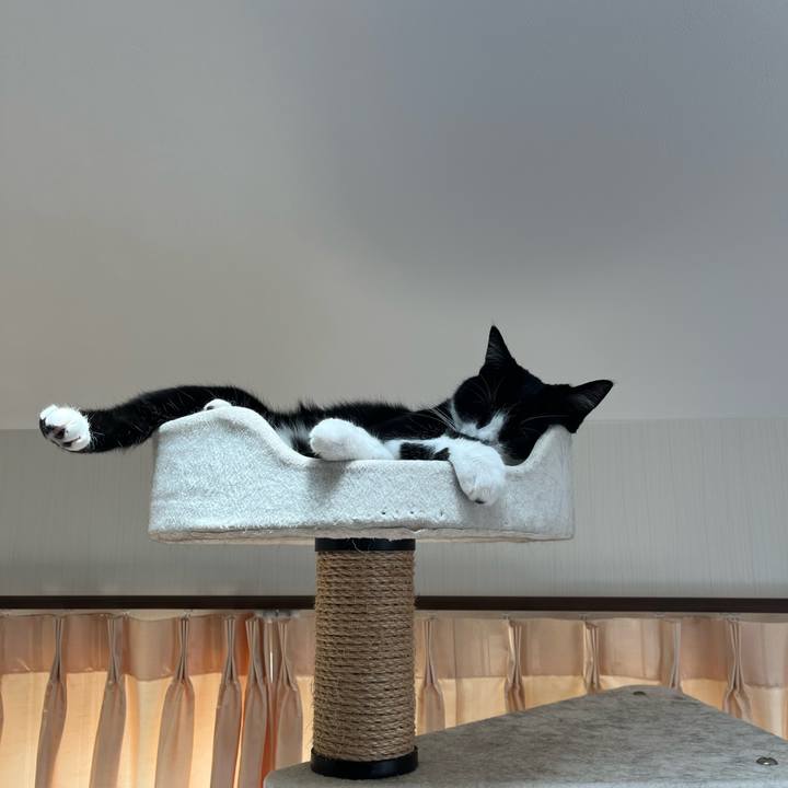 D382be50 0970 4a3c 9f65 8c1f2836ef1a 1683252402976