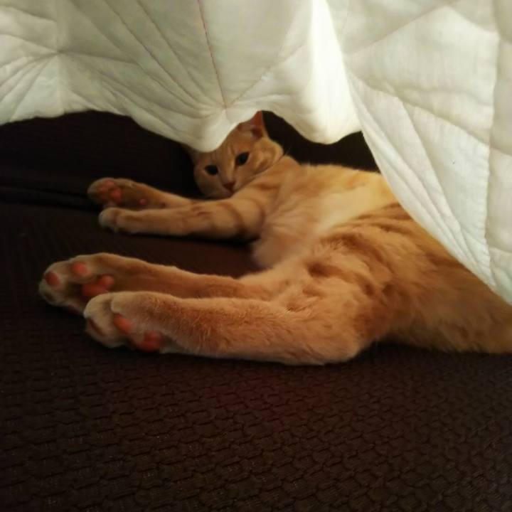 D382faa7 1e0a 4968 ac46 2974ff86cf12 1561180996371