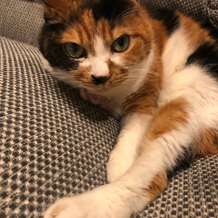 D383065e 237f 4b57 8b97 e392caafd0cb 1546874638372