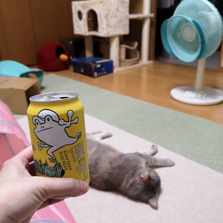 D3835e10 d1ce 4a77 81b1 0448d1fa9a91 1588427936025