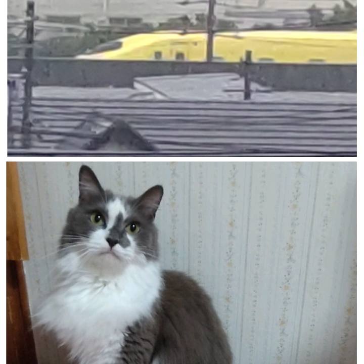 D3836b3e 14ce 42bc b249 b1f9805d311b 1725181541127