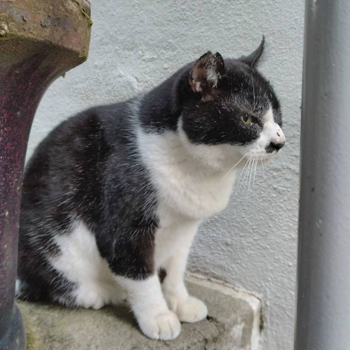 D383b081 e9b5 4833 a4cf 2cfcfda71d23 1699947849564