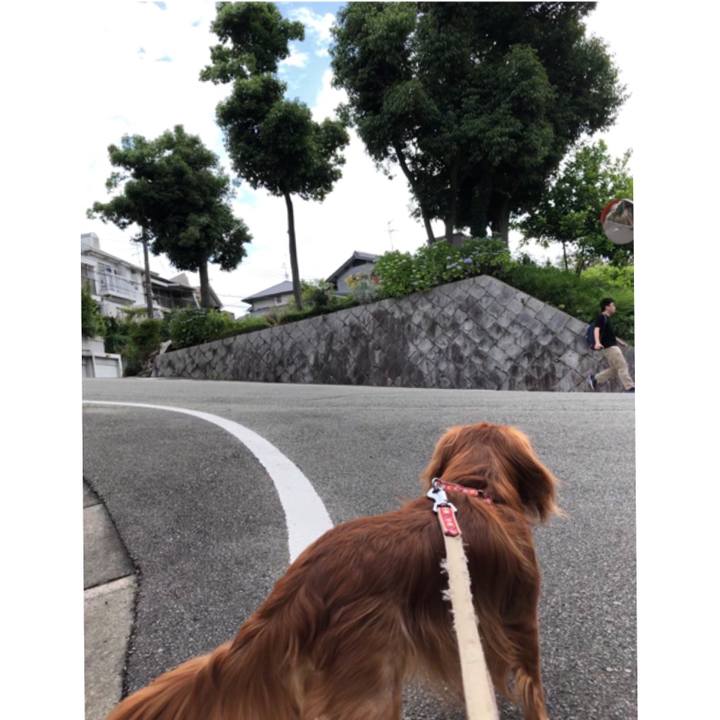 D383c04b e8b9 42f4 8e46 dae3419356a4 1560644531192