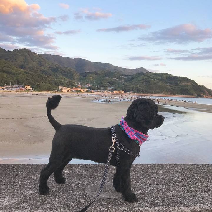 D383c78c bdbb 4d86 9d9a 4ed56653c9ad 1534508212260